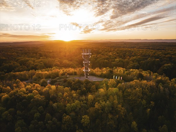 Aerial view of the Schönbuchturm in autumn forest at sunrise, Herrenberg, Germany, Europe