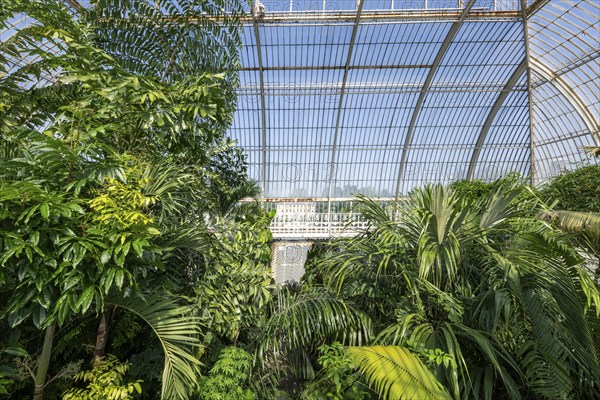 Palm House, oldest Victorian greenhouse in the world, Royal Botanic Gardens, Kew, London, England,