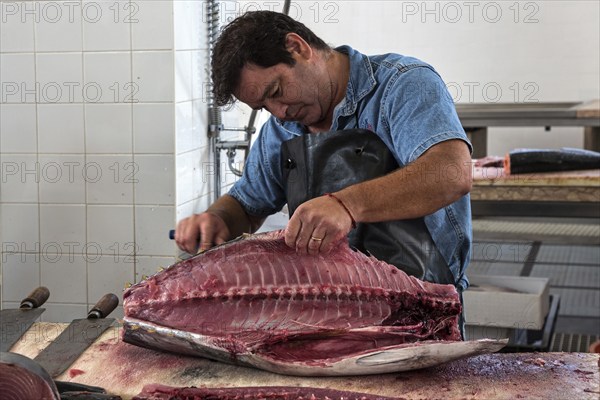 Tuna being cut up, fish hall, fish market, market hall Mercado dos Lavradores, Funchal, Madeira