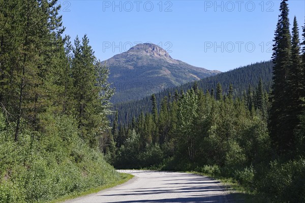 Narrow, traffic-free road leads through rugged mountain landscape, wilderness, Stewart Cassiar
