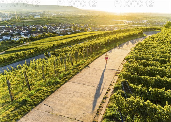 Young woman in Fitness training, vineyard at Grossheppach, Remstal valley, Baden Württemberg,
