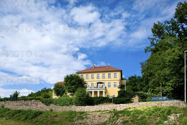 The Zechsteinweg continues past the Zechsteinhaus, a 17th century winery with extensive vineyards