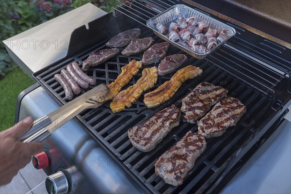 Various types of meat on a gas grill, Bavaria, Germany, Europe