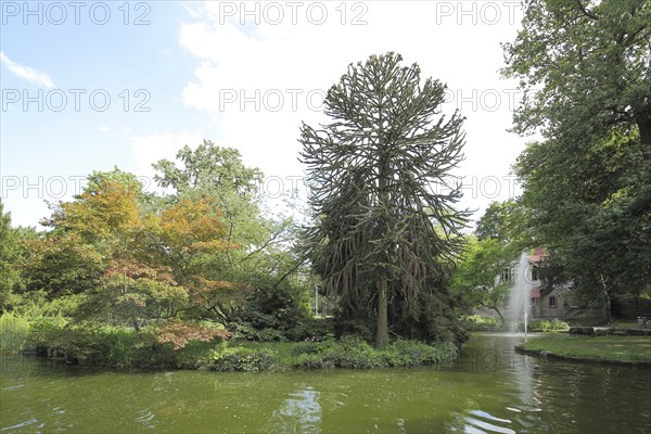 Pond with fountain in Verna Park Stadtpark, Rüsselsheim, Hesse, Germany, Europe