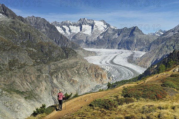 Hiker in front of the Great Aletsch Glacier, the heart of the Jungfrau-Aletsch-Bietschhorn UNESCO