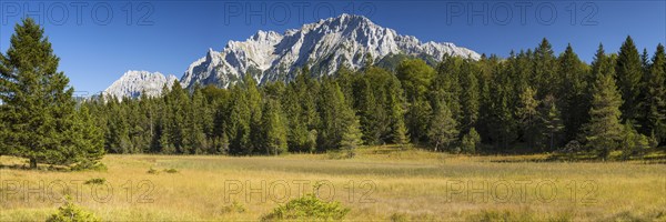 Moorland landscape near the Lautersee, near Mittenwald, with the Karwendel Mountains behind,