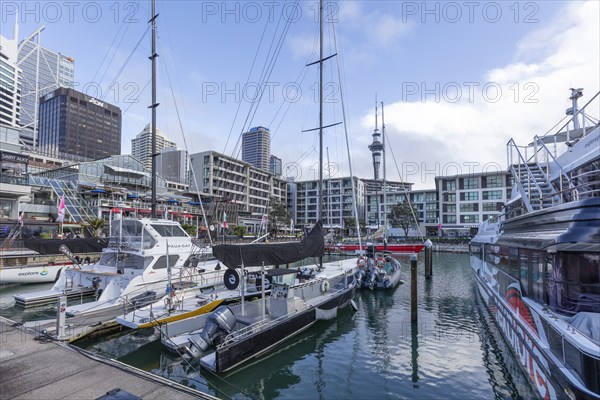 Viaduct Harbour, Auckland, New Zealand, Oceania