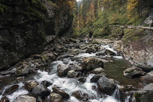 River Breitach and Breitachklamm gorge near Oberstdorf, Oberallgäu, Allgäu, Bavaria, Germany,