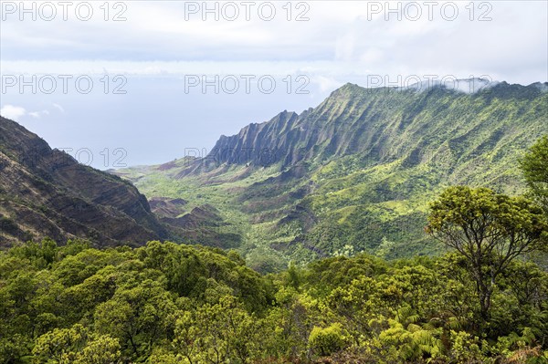 Kalalau Valley, Koke?e State Park, Na Pali Coast, Kauai, Hawaii, USA, North America