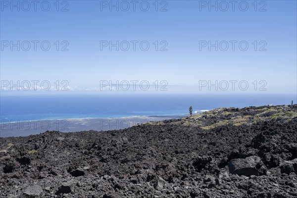 Lava rock at Mau Loa o Mauna Ulu, Chain of Craters Road, Hawaii Volcanoes National Park, Big
