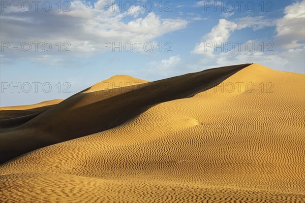 Dunes of Thar Desert. Sam Sand dunes, Rajasthan, India, Asia