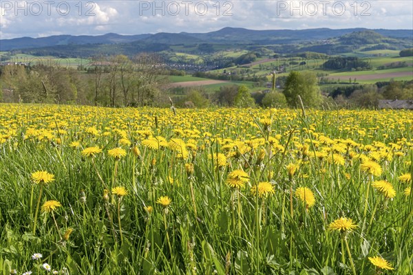 View from the Maulkuppe, mountain in the Hessian Rhön nature Park, Hesse, Germany, Europe