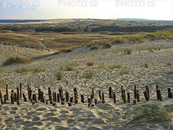 The Parnidis Dune in the Curonian Spit National Park is one of the largest shifting sand dunes in