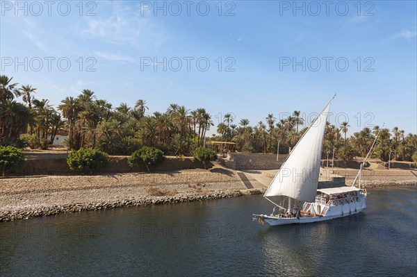 Excursion boat on the Nile, Egypt, Africa