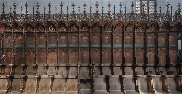 Late Gothic choir stalls from 1507, St Martin, Memmingen, Bavaria, Germany, Europe