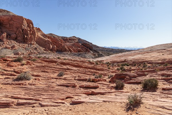 Layered rock formations along the Fire Wave Trail at Valley of Fire State Park near Overton,