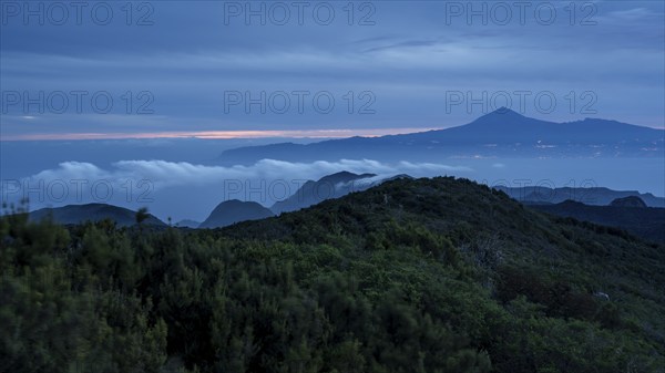Sunrise, view of Mount Teide from Alto de Garajonay, Tenerife, Garajonay National Park, La Gomera,