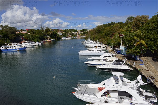 Sunny view of a marina with white yachts and a coastal town, boats on the Dulce River, La Romana,