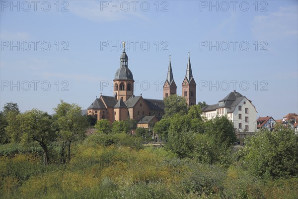 View of Einhard Basilica of St. Marcellinus and Peter, monastery complex, Seligenstadt, Main,