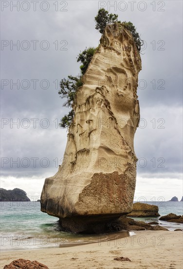 Monolithic rock, overgrown with plants, on a beach under a dramatic sky, Cathedral Grove,