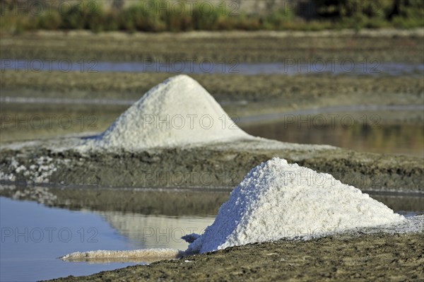 Salt pan for the poduction of Fleur de sel, sea salt on the island Ile de Ré, Charente-Maritime,