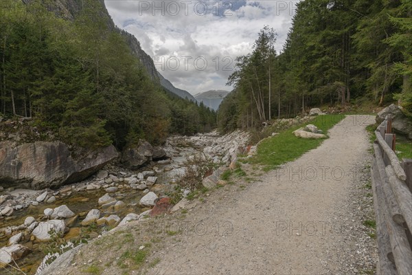 Hiking trail along the Stillup stream, Stilluptal, Stillupgrund, Mayrhofen, Zillertal Alps High