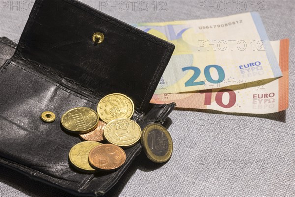 Wallet with coins and notes, euro, Germany, Europe
