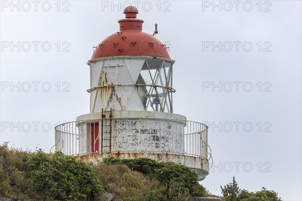 Taiaroa Head Leuchtturm, Otago-Halbinsel, Neuseeland