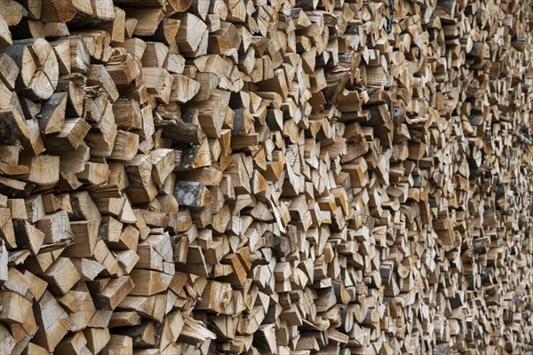 Large woodpile, firewood, Wiesensteig, Swabian Alb, Baden-Württemberg, Germany, Europe