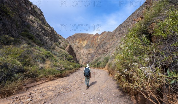 Mountaineer in a canyon with a dry stream bed, eroded mountain landscape with red sandstone rocks,