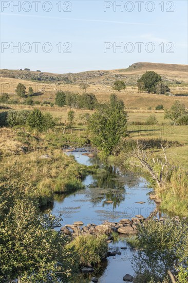 Landscape in Aubrac in summer, inspiring, infinite, enchanting, magical, peaceful, bewitching.