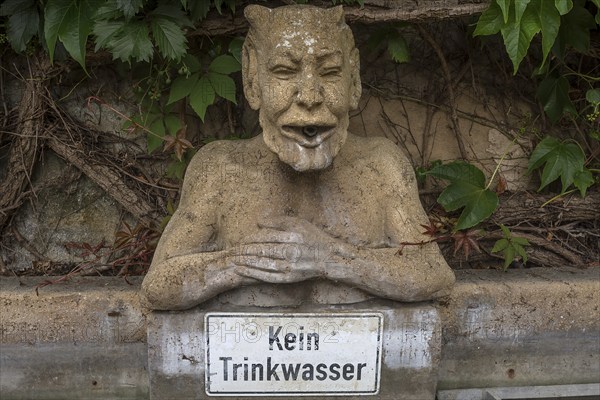 Bust of the devil as a fountain figure, Nuremberg, Middle Franconia, Bavaria, Germany, Europe