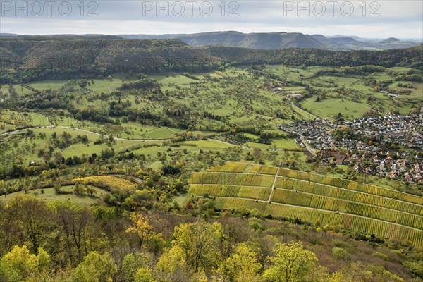 View from Hohenneuffen Castle, autumnal vineyards, Beuren, Albtrauf, Swabian Alb,