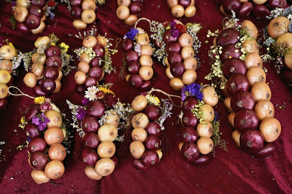 Market stall with onion plaits, traditional harvest jewellery, onion market, Bern, Canton of Bern,