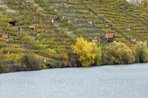 Vineyard cottage in the vineyard, landscape on the Neckar in autumn, Hofen, Stuttgart,