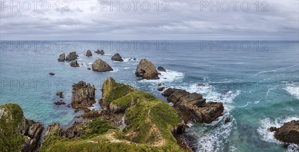 Nugget Point, Otago, Neuseeland