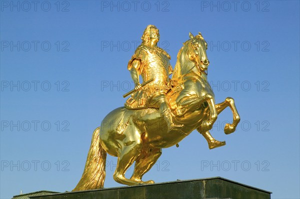 Golden Rider