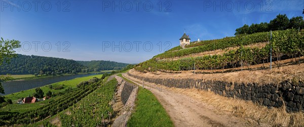 Not far from the Boselspitze, leaning towards the Elbe, is the vineyard known as the Rote Presse.