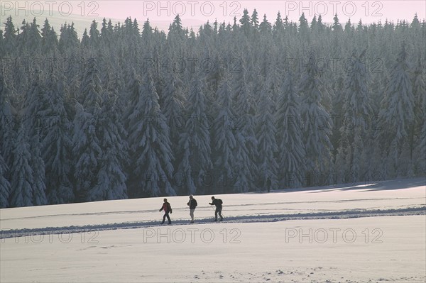 DEU Saxony Landscape near Hermsdorf in the Ore Mountains