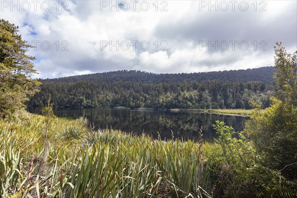 Lake Matheson Trail, New Zealand, Oceania