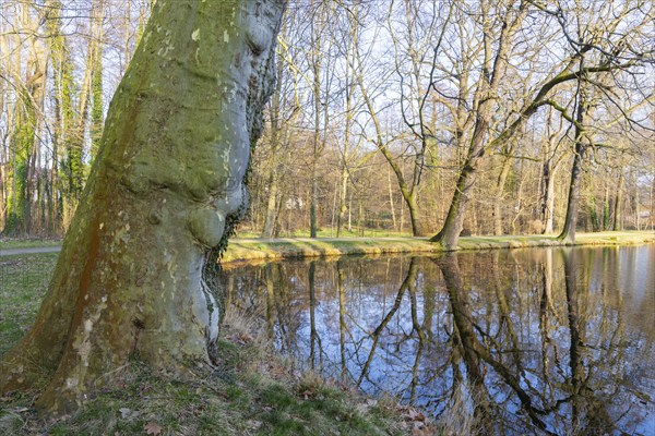 Palace gardens Lauterbach, Lauterbach, Saxony, Germany, Europe