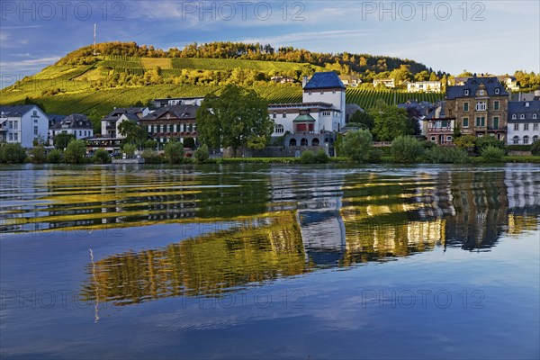 The Moselle in Traben-Trarbach, Middle Moselle, Rhineland-Palatinate, Germany, Europe