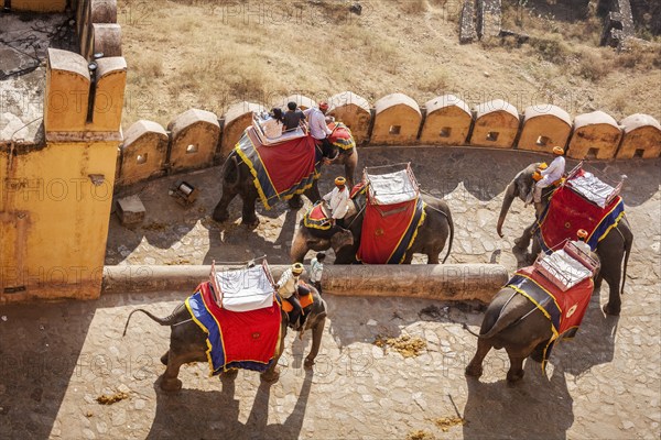 JAIPUR, INDIA, NOVEMBER, 18: Tourists riding elephants in Amber fort, Rajasthan, Elephant ride is a