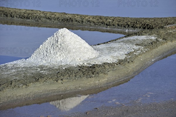 Salt pan for the poduction of Fleur de sel, sea salt on the island Ile de Ré, Charente-Maritime,