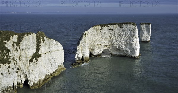 The chalk sea stacks Old Harry Rocks at Handfast Point on the Isle of Purbeck along the Jurassic