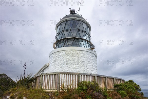 Nugget Point Leuchtturm, Otago, Neuseeland