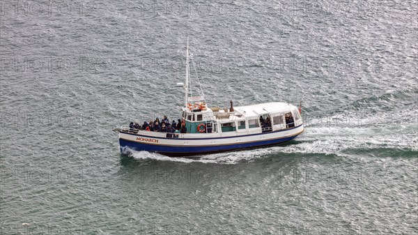 Boot, Taiaroa Head, Otago-Halbinsel, Neuseeland