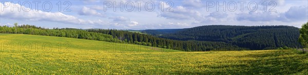 Landscape near Frauenstein
