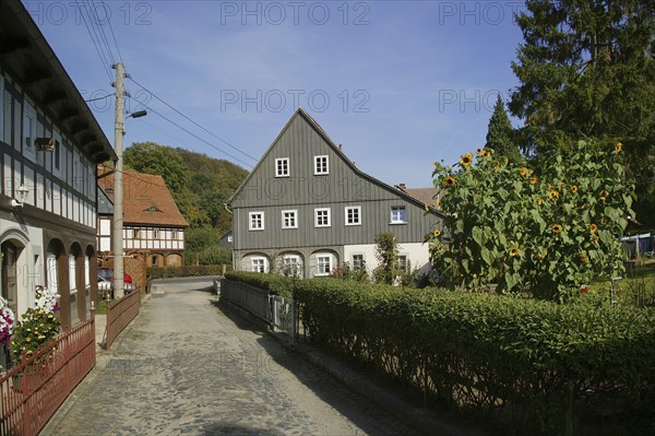 Grosschönau