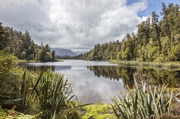 Lake Matheson, New Zealand, Oceania